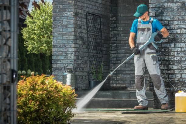 Best Graffiti Removal  in Lake Waynoka, OH