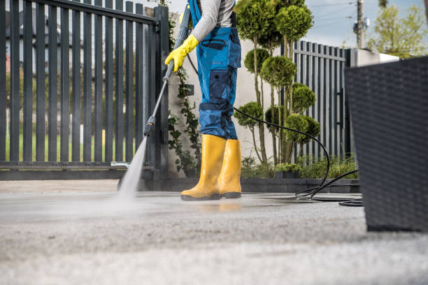 Reliable Lake Waynoka, OH Pressure Washing Services Solutions