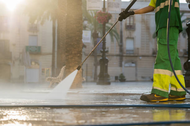 Best Solar Panel Cleaning  in Lake Waynoka, OH